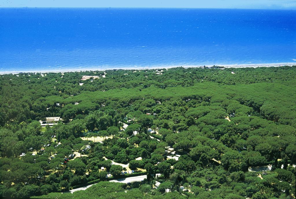 Le Esperidi Camping Ecoresort Marina Di Bibbona Exterior foto