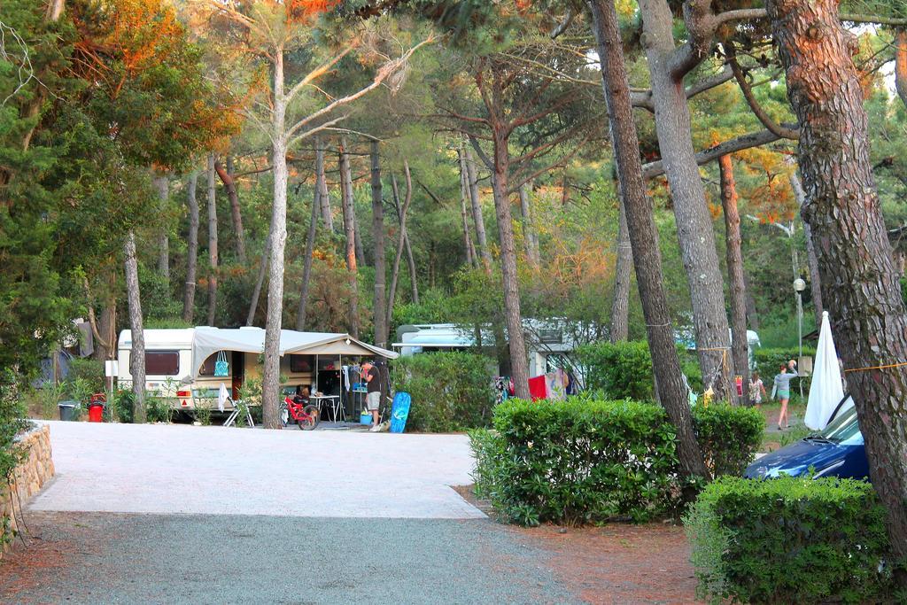 Le Esperidi Camping Ecoresort Marina Di Bibbona Exterior foto